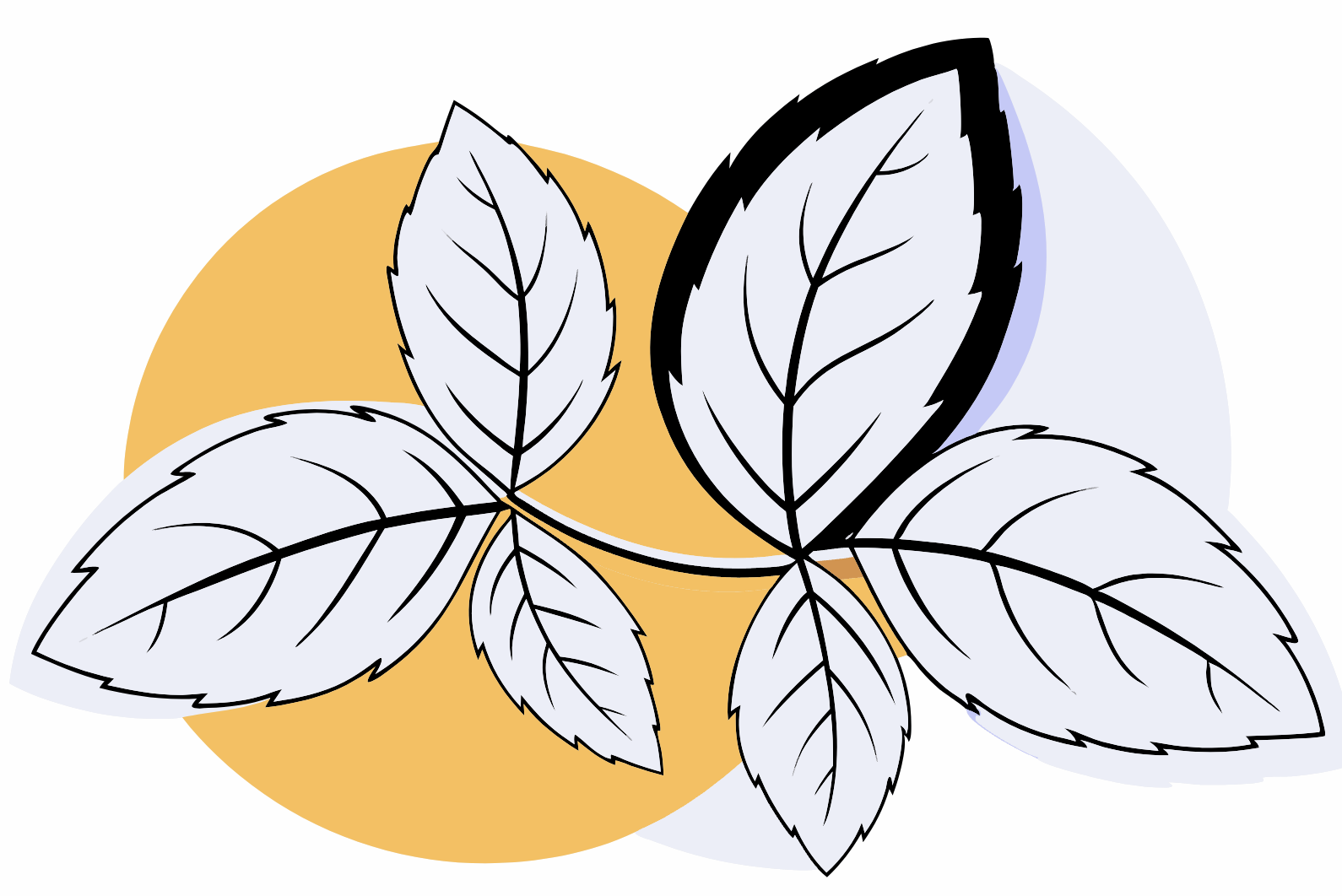 Is Stevia Actually 0 Calories?